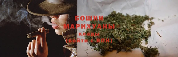 индика Аркадак