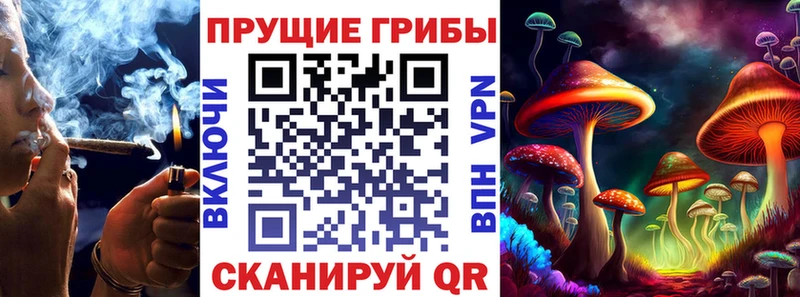darknet Telegram  Аркадак  Галлюциногенные грибы Cubensis  даркнет сайт 